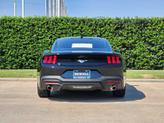 Thumbnail of 2025 Shadow Black Ford Mustang