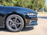 Thumbnail of 2025 Shadow Black Ford Mustang