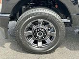 Thumbnail of 2025 Agate Black Metallic Ford F-250