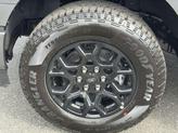 Thumbnail of 2025 Carbonized Gray Metallic Ford F-150