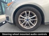 Thumbnail of 2016 Tectonic Ford Focus