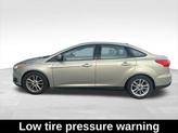 Thumbnail of 2016 Tectonic Ford Focus