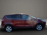 Thumbnail of 2014 Red Ford Escape
