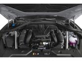 Thumbnail of 2024 Vik Black Genesis GV70