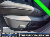 Thumbnail of 2024 Rapid Red Metallic Tinted Clearcoat Ford Mustang Mach-E