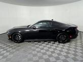 Thumbnail of 2025 Shadow Black Ford Mustang