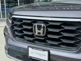 Thumbnail of 2023  Honda Pilot