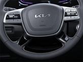 Thumbnail of 2025 Panthera Metal Kia Telluride