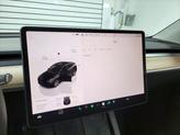 Thumbnail of 2023 Solid Black Tesla Model Y