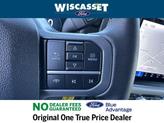 Thumbnail of 2024 Blue Ford F-150