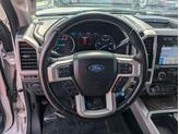 Thumbnail of 2019 White Platinum Ford F-250