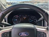 Thumbnail of 2019 White Platinum Ford F-250