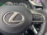 Thumbnail of 2018 Atomic Silver Lexus RX 450h