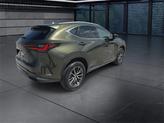 Thumbnail of 2023 Nori Green Pearl Lexus NX 350