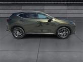 Thumbnail of 2023 Nori Green Pearl Lexus NX 350