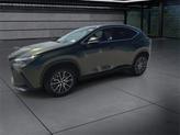 Thumbnail of 2023 Nori Green Pearl Lexus NX 350