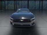 Thumbnail of 2024 SHADOW BLACK Ford Mustang