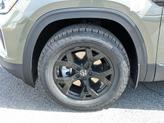 Thumbnail of 2025 Avocado Green Pearl Volkswagen Atlas