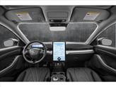 Thumbnail of 2025 Glacier Gray Metallic Ford Mustang Mach-E