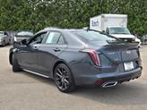 Thumbnail of 2021 Gray Cadillac CT4