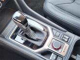 Thumbnail of 2024 Crystal Black Silica Subaru Forester