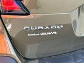 Thumbnail of 2025 Autumn Green Subaru Outback