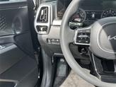 Thumbnail of 2022 Ebony Black Kia Sorento