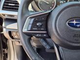 Thumbnail of 2023 Crystal Black Silica Subaru Forester