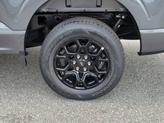 Thumbnail of 2025 Carbonized Gray Metallic Ford F-150