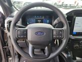 Thumbnail of 2025 Carbonized Gray Metallic Ford F-150