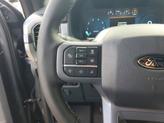 Thumbnail of 2025 Carbonized Gray Metallic Ford F-150