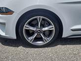 Thumbnail of 2022 Oxford White Ford Mustang