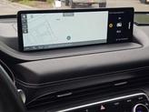 Thumbnail of 2022 Vik Black Genesis GV80