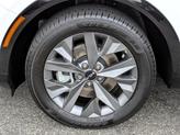 Thumbnail of 2023 Glacial White Pearl Kia Sportage
