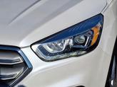 Thumbnail of 2019 White Platinum Ford Escape