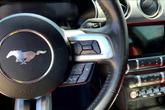 Thumbnail of 2022 Race Red Ford Mustang