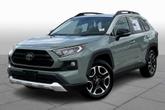 Thumbnail of 2019 Lunar Rock / Ice Edge Roof Toyota RAV4