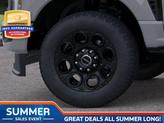 Thumbnail of 2025 Avalanche Ford F-250