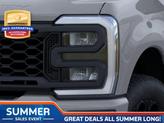 Thumbnail of 2025 Avalanche Ford F-250