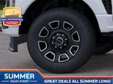 Thumbnail of 2025 White Metallic Ford F-250
