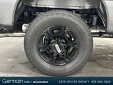 Thumbnail of 2026 Gray Ford F-250