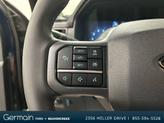 Thumbnail of 2025 Blue Metallic Ford F-150