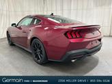 Thumbnail of 2025 Magenta Ford Mustang