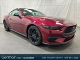 Photo of 2025 Magenta Ford Mustang