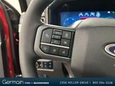 Thumbnail of 2025 Ruby Red Ford F-250
