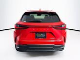 Thumbnail of 2025 Redline Lexus NX 250