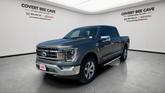 Thumbnail of 2023 Gray Metallic Ford F-150
