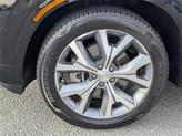 Thumbnail of 2021 Becketts Black Hyundai PALISADE