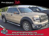 Photo of 2011 Pale Adobe Metallic Ford F-150