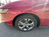 Thumbnail of 2024 Red Honda Accord